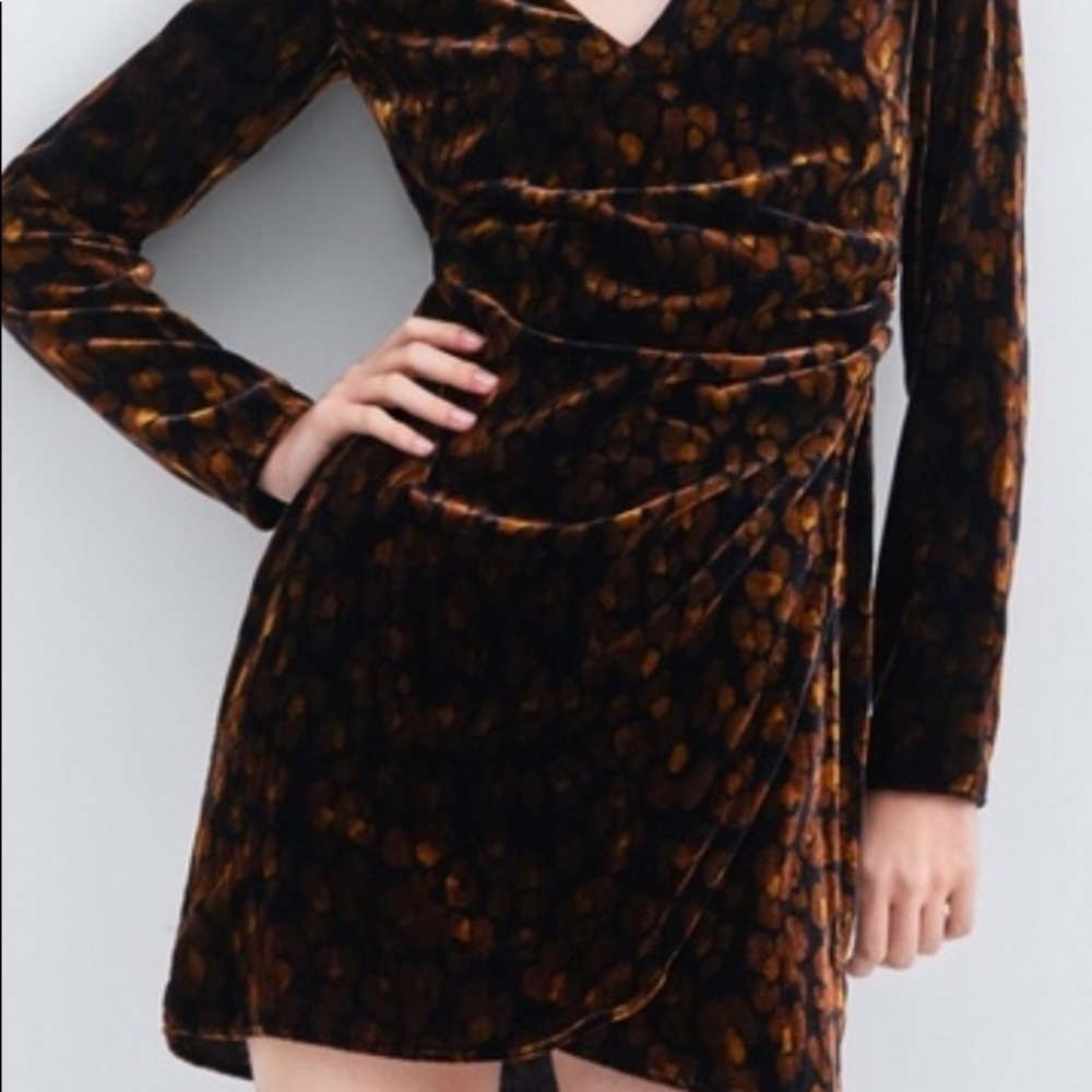Zara Trafaluc Velvet Dress